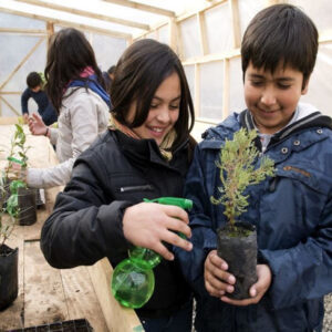 Chacayes Hydroelectric Project, Chile