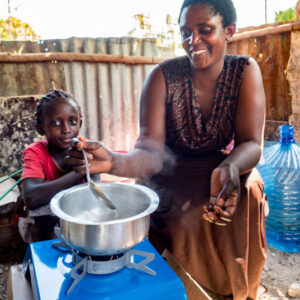 PoA for the Reduction of emission from non-renewable fuel from cooking at household level