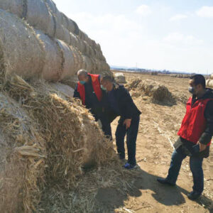 Jilin Gongzhuling Biomass Generation Project